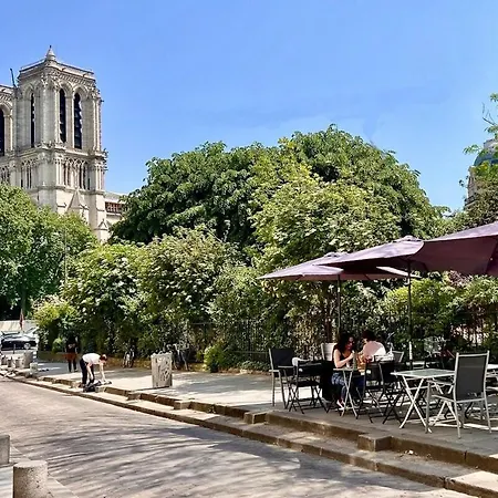 Notre Dame In Full Colors Lejlighed