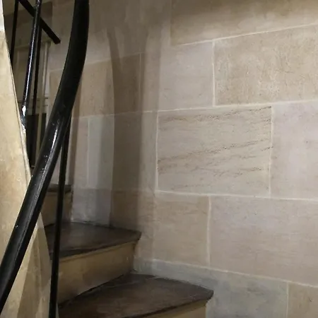 Notre Dame In Full Colors Paris