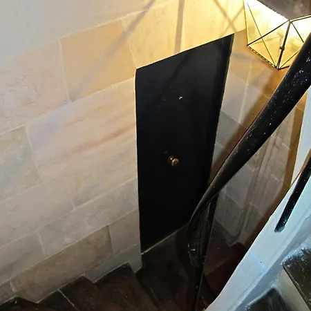 Notre Dame In Full Colors