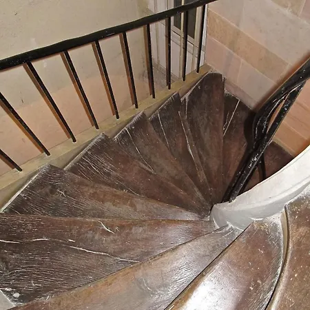 Notre Dame In Full Colors Lejlighed Paris